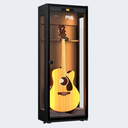 1 acustica negra