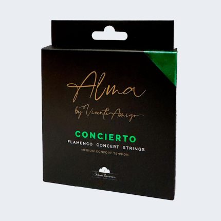 concierto 1