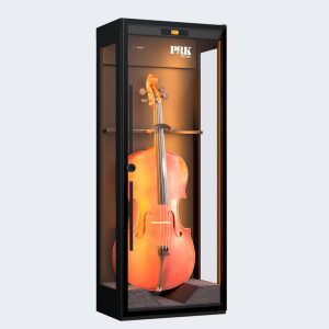 Constant Humidity CH/50 Violin Black