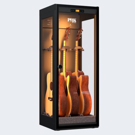 3 acustica negra