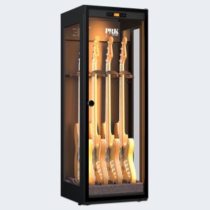 Constant Humidity CH/302 Eléctrica Black