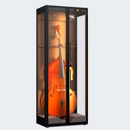 violonchelo negro